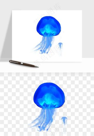 水母章鱼海底生物png免抠图