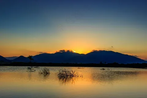 日暮孤树静谧景·自然风情·蓝橙装饰 日暮孤树静谧景·自然风情·蓝橙装饰