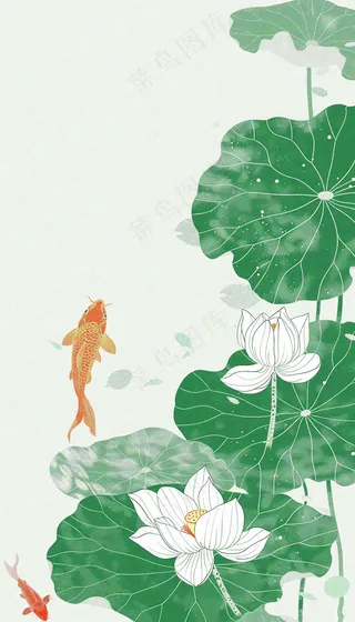 夏天荷花荷叶清凉小清新淡雅立夏夏至暑插画背景