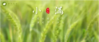 小满公众号首图