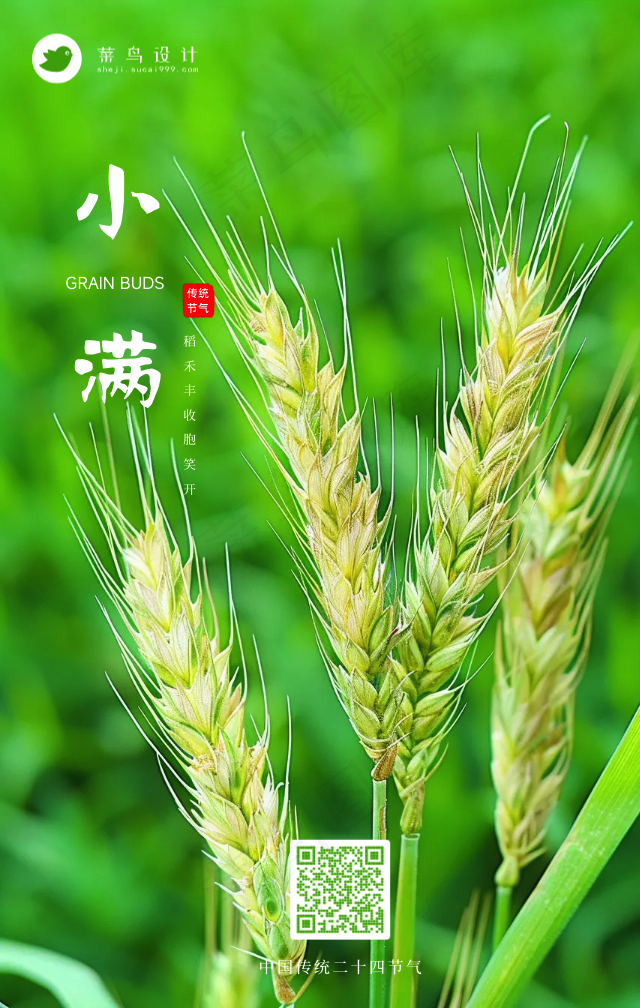 小满手机海报