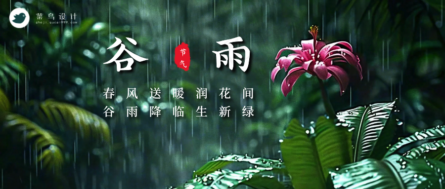谷雨公众号首图