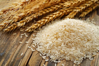 世界粮食日谷物米饭稻谷小麦摄影图