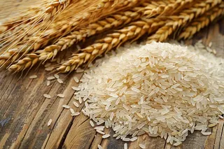 世界粮食日谷物米饭稻谷小麦摄影图