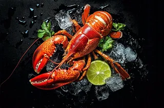 龙虾冰鲜食物海鲜摄影图