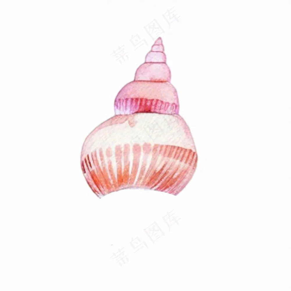 海洋贝壳海螺生物卡通插画免抠