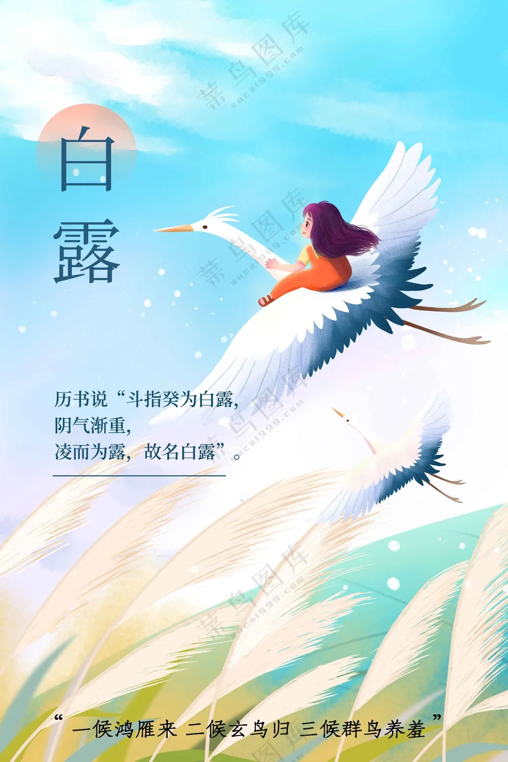 白露节气传统海报