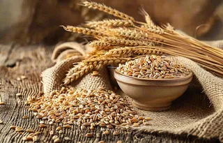 世界粮食日谷物米饭稻谷小麦摄影图