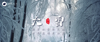 大雪公众号首图