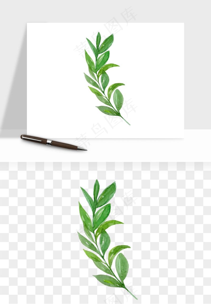 清新手绘植物png免抠