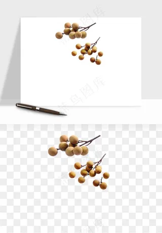 龙眼桂圆水果png免抠