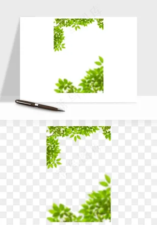 绿叶虚化前景树枝png免抠