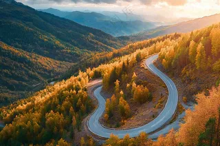 秋天森林蜿蜒的公路大自然风光摄影图