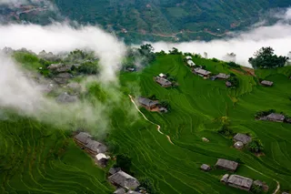 雾锁梯田乡村画·古朴自然·绿棕交融·景观珍藏