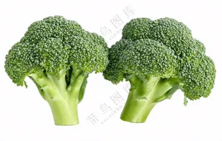 西蓝花蔬菜免抠