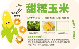 甜糯玉米图片