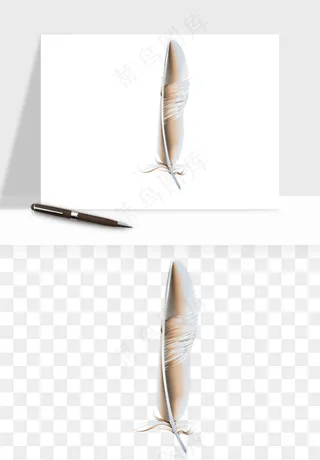 白羽毛漂浮彩色羽毛png免抠