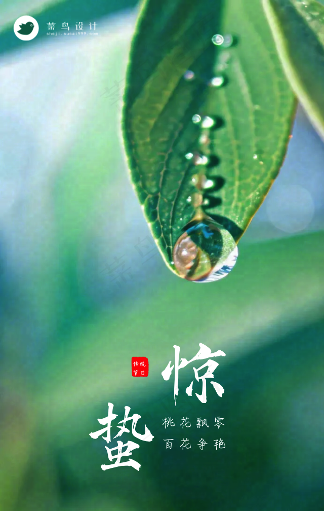 惊蛰手机海报