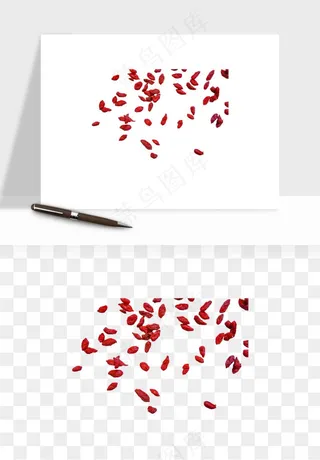 枸杞养生中药png免抠