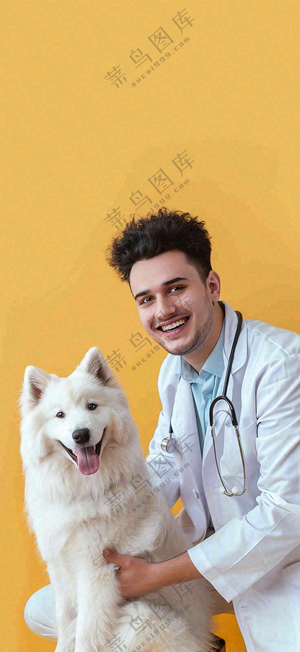 萌宠宠物医院医生抱着狗狗摄影图背景