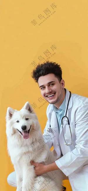 萌宠宠物医院医生抱着狗狗摄影图背景