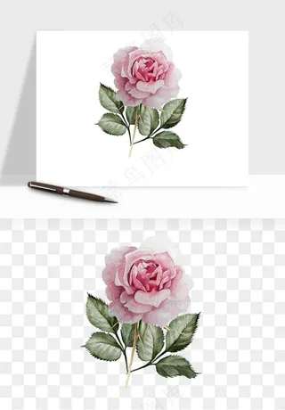 水彩复古花卉png免抠