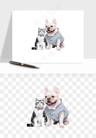 猫咪喵星人狗狗宠物元素png免抠