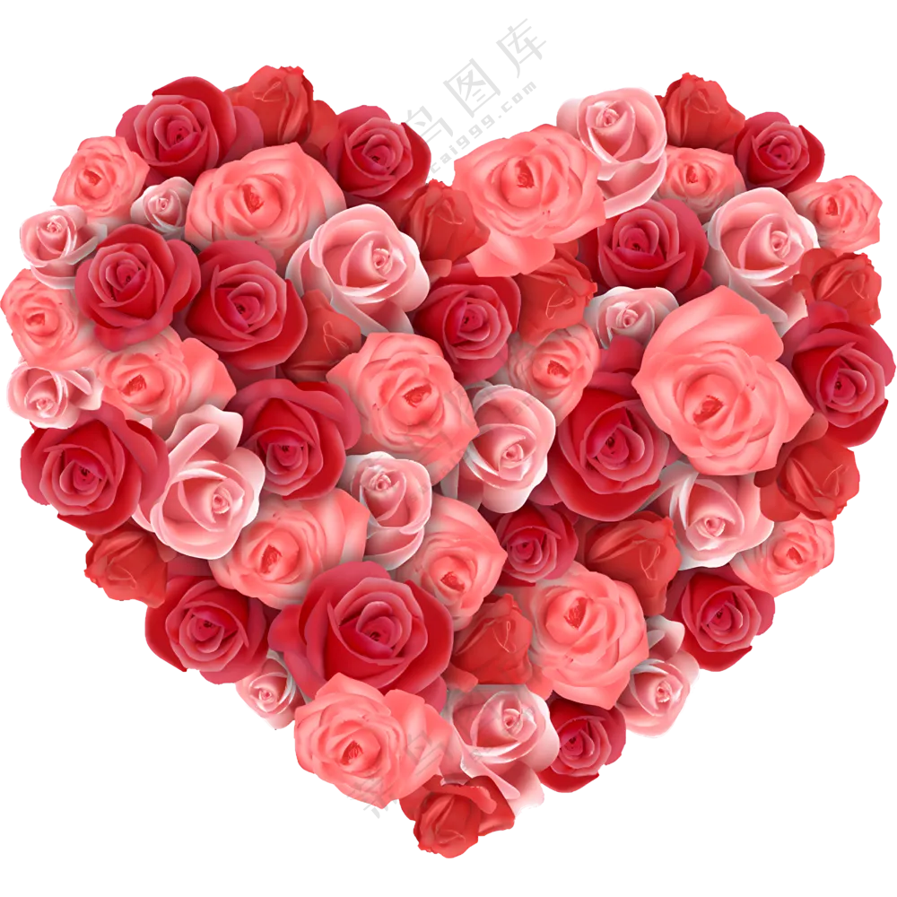 心形玫瑰花