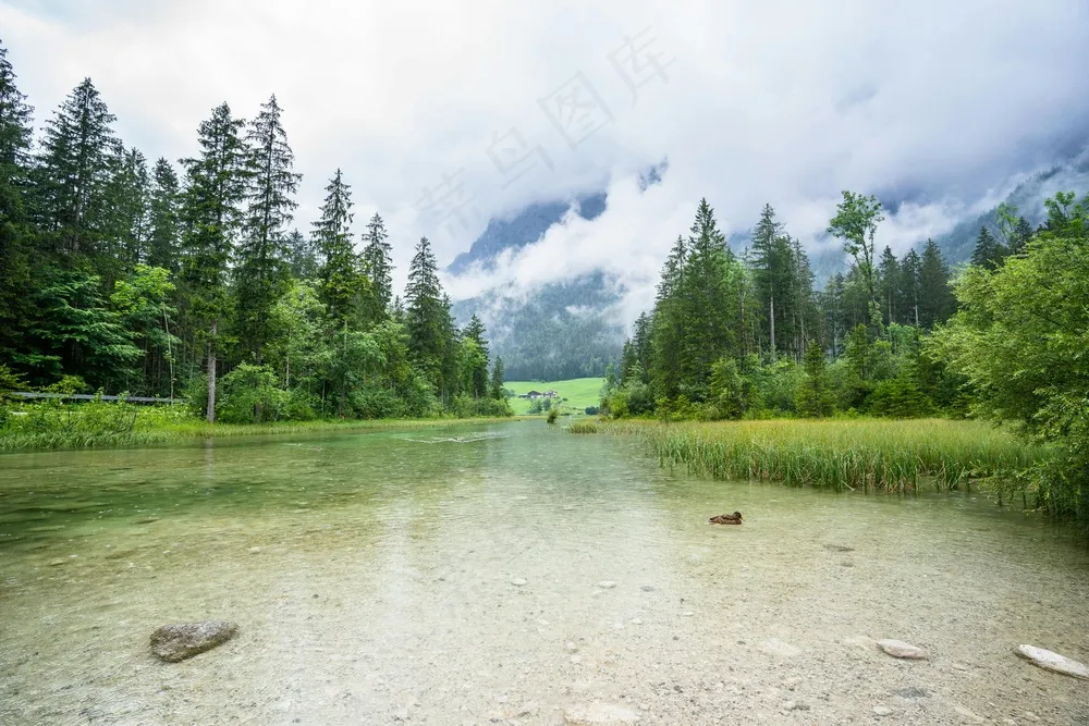 静谧森林绿河韵