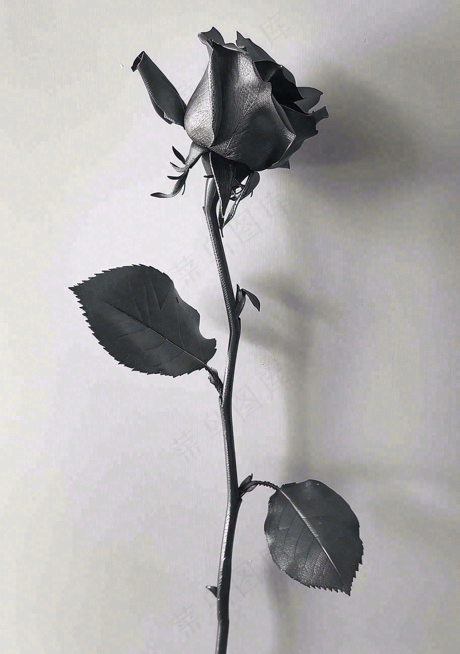 银色情人节