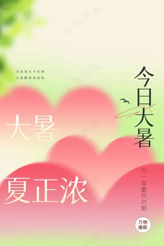 简约大暑节气海报