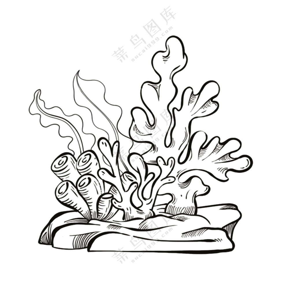 珊瑚-古海洋生物/线稿/卡通