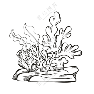 珊瑚-古海洋生物/线稿/卡通