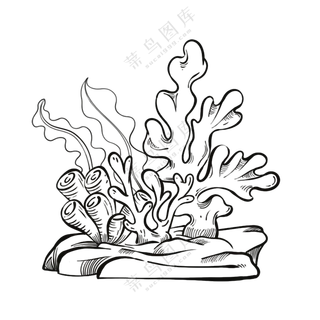 珊瑚-古海洋生物/线稿/卡通