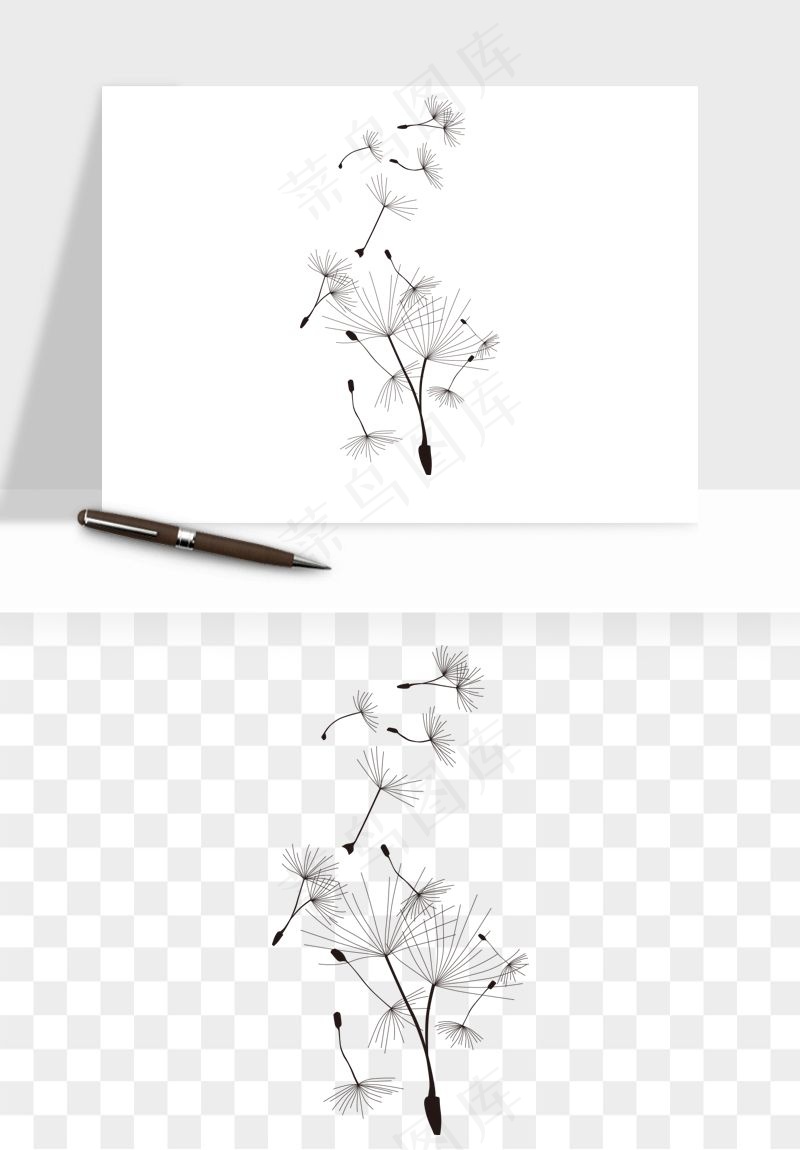 唯美蒲公英种子png免抠