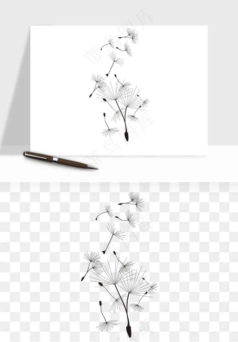 唯美蒲公英种子png免抠
