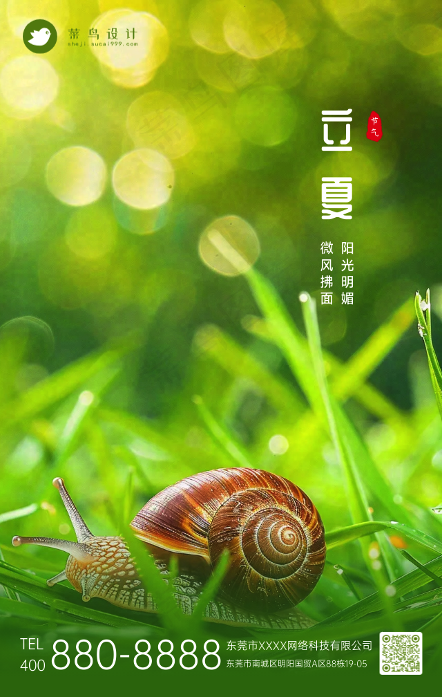立夏手机海报