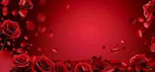红色玫瑰花浪漫情人节七夕背景