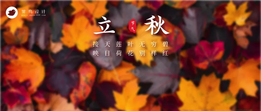 立秋公众号首图