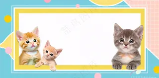 宠物寄养猫狗卡通插画背景
