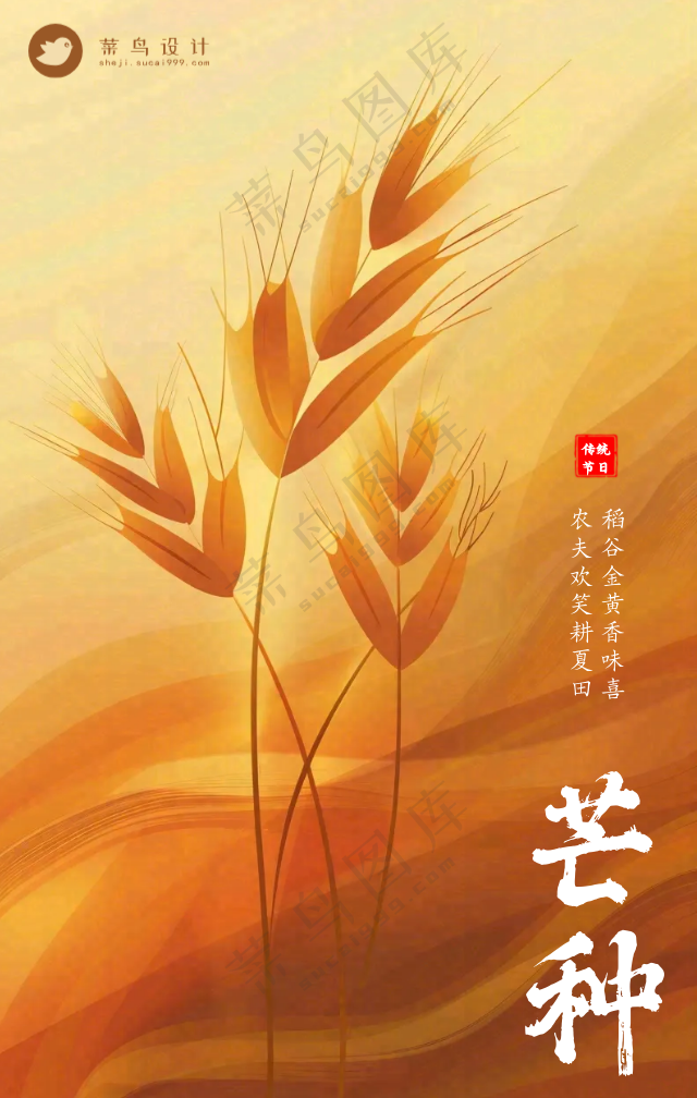 芒种手机海报