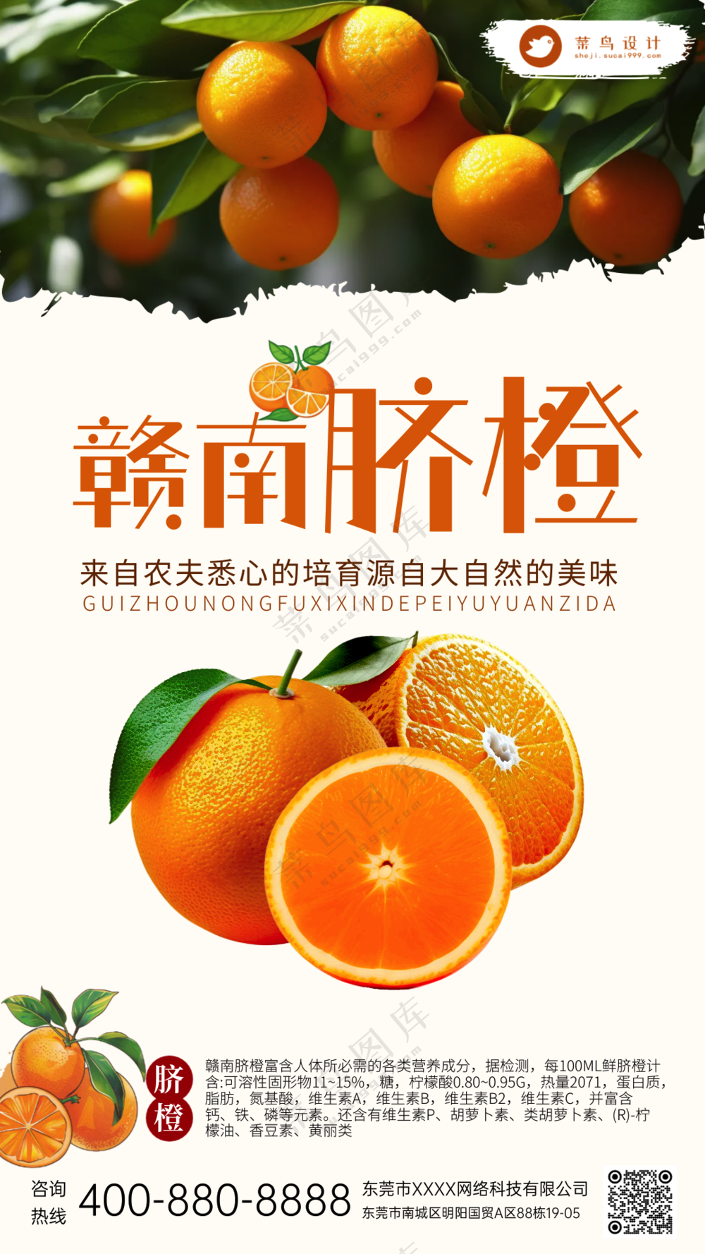 新鲜水果赣南脐橙生鲜宣传海报