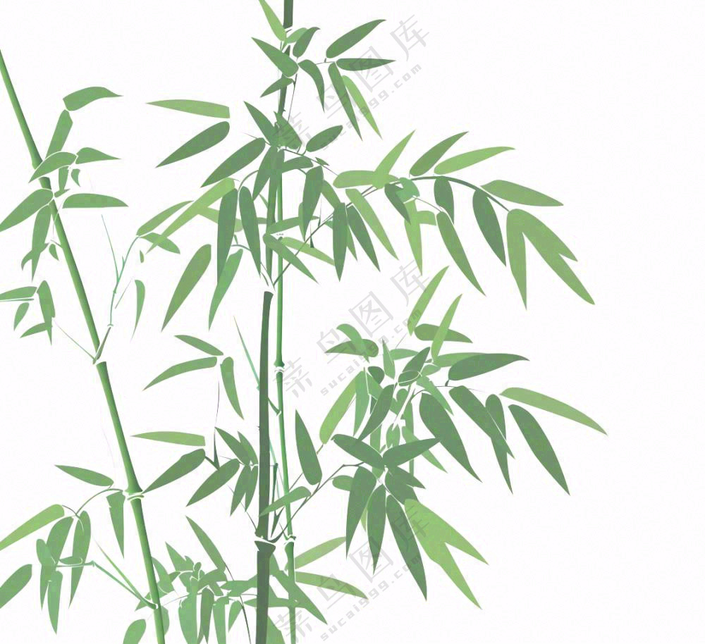 绿竹竹子绿植水墨画插画免抠