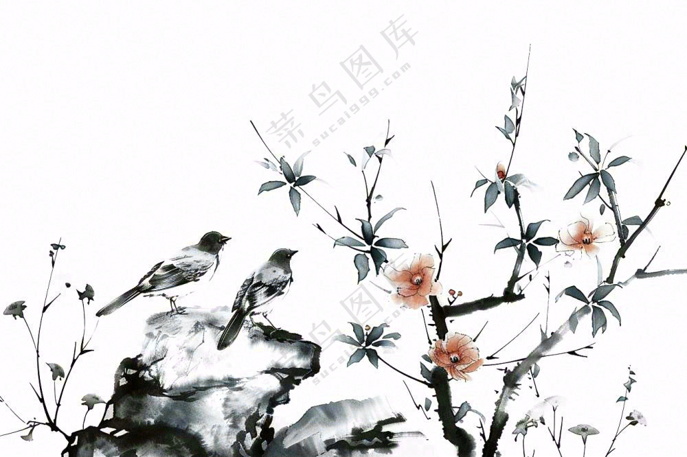 水墨画崖壁上的梅花小鸟古典风山水插画免抠