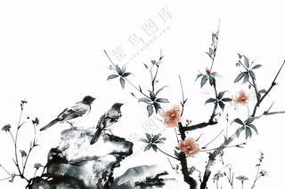水墨画崖壁上的梅花小鸟古典风山水插画免抠