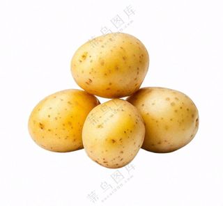 土豆蔬菜免抠