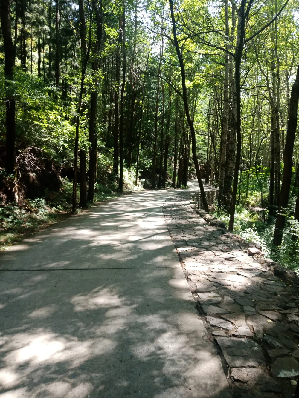  青山 绿野 