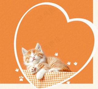 宠物常识宠物攻略猫狗卡通插画背景