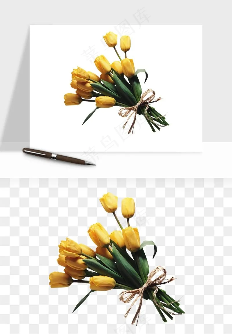 荷兰郁金香鲜花png免抠