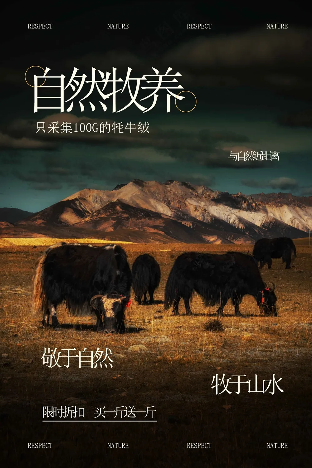 自然复古牦牛线绒宣传活动海报